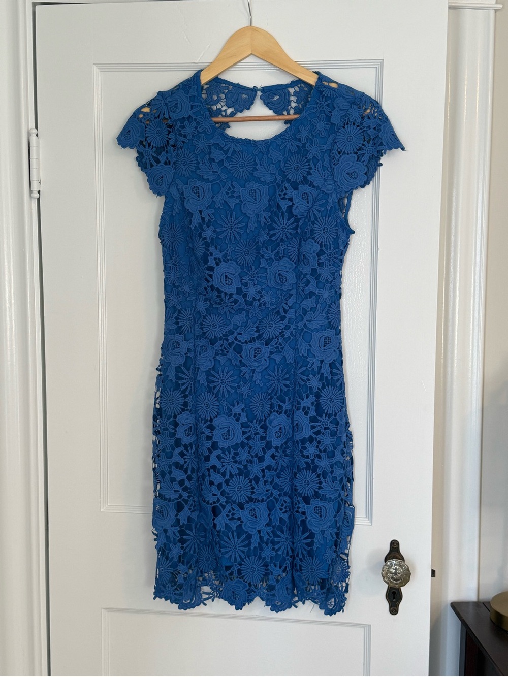 Lulu's Royal Blue Floral Lace Cap Sleeve Dress